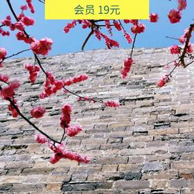 相约北京二环内最大的赏花地，徒步城墙遗址+赏花，认识新朋友（北京活动）