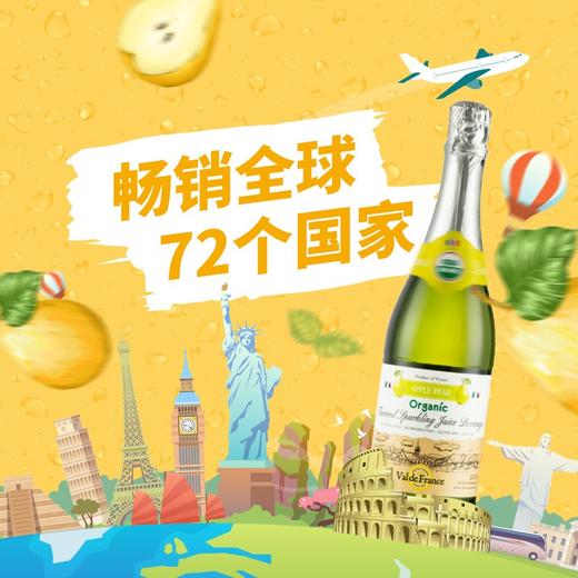 沃迪安含气香梨味苹果汁饮料750ml 商品图4