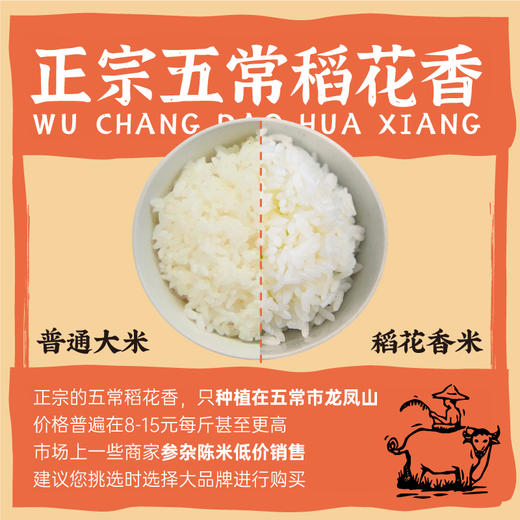 袁谷农场隆平芯米五常大米2.5kg当季新米优质大米真稻花香2号5斤装 商品图1