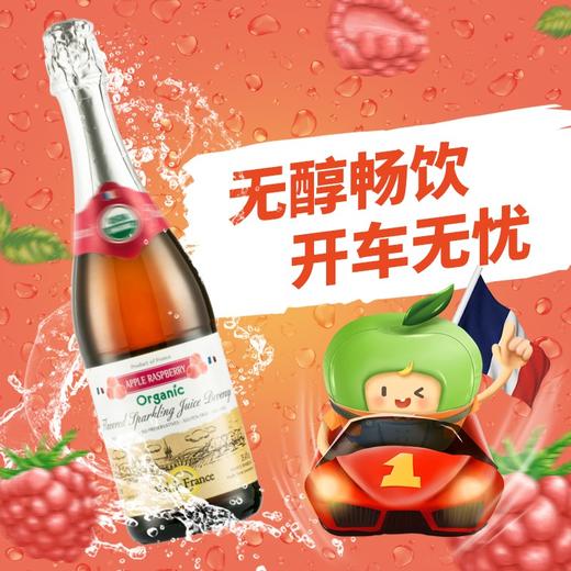 沃迪安含气树莓味苹果汁饮料750ml 商品图5