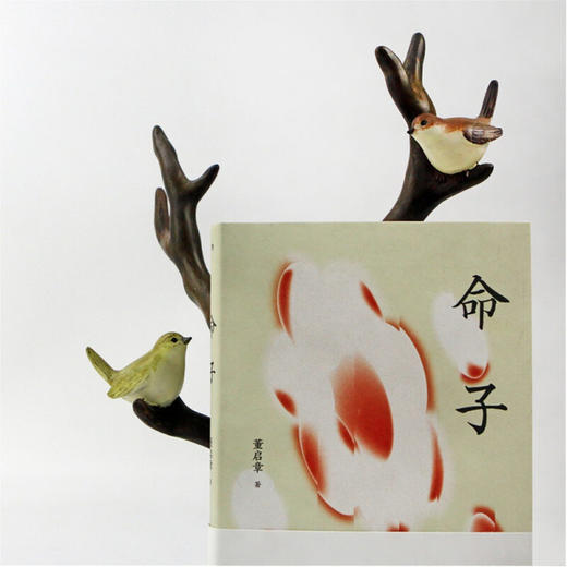 命子 香港中生代作家董启章著 当代华语文学作品集 商品图2