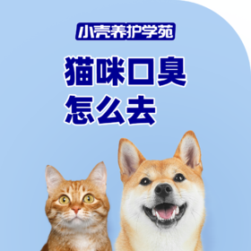 猫咪怎么去口臭？