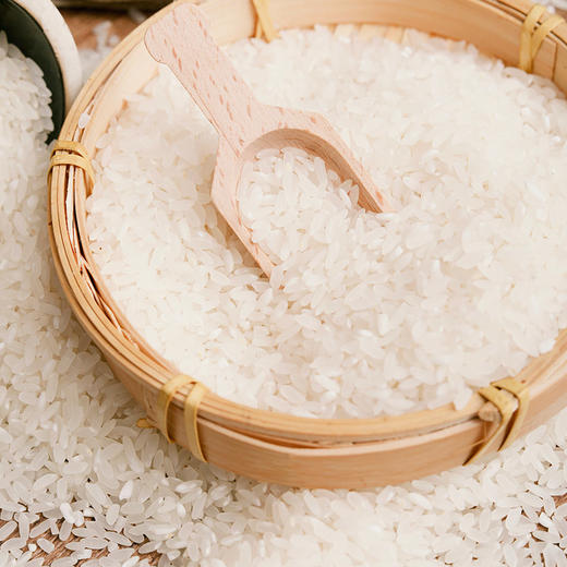 内蒙特产 犁捌苑绿色认证兴安盟长粒香大米5kg包邮 商品图1