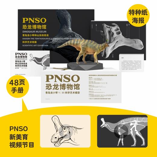 PNSO恐龙博物馆青岛龙小琴1:35科学艺术模型 商品图1