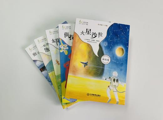 麦田少年文库（全10册）一 二合辑 6-15岁  囊括儿童文学热门阅读5大类型 让孩子勇敢探寻世界的边界 商品图13