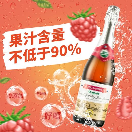 沃迪安含气树莓味苹果汁饮料750ml 商品图3