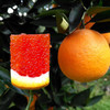 【臻选水果】中华红肉橙 新鲜水果现摘现发 5-9斤 商品缩略图4