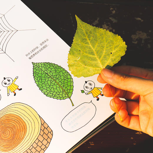 大科学之友经典科普书·如果世界颠倒过来 商品图2