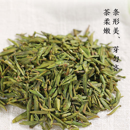 【2026年新茶】天府龙芽丨宜宾早茶 明前早春头采 特级 绿茶 50g 头采量少 商品图1