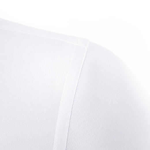 99XCD38CC04【60棉 精美刺绣】罗蒙春夏棉质长袖衬衫男士正装商务通勤百搭职业装免烫男衬衣 商品图5