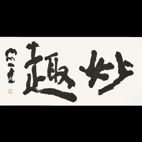 曾翔书法 · 双字小品系列之《妙趣》