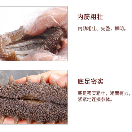 韩国 野生海参 淡干海参 一级品质礼品套装 送礼佳品 商品图4