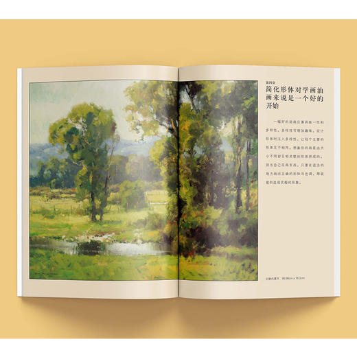 油画自学大师课 油画的光与色 经典版 商品图2