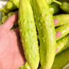 普罗旺斯西红柿+海阳白玉黄瓜混搭双拼、现摘新鲜蔬果 商品缩略图3