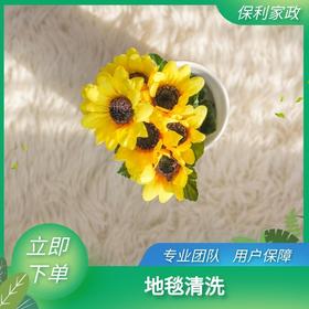 地毯清洗（珠海）_需要提前一天预约服务_YWJZ_需要提前一天预约服务_YWJZ