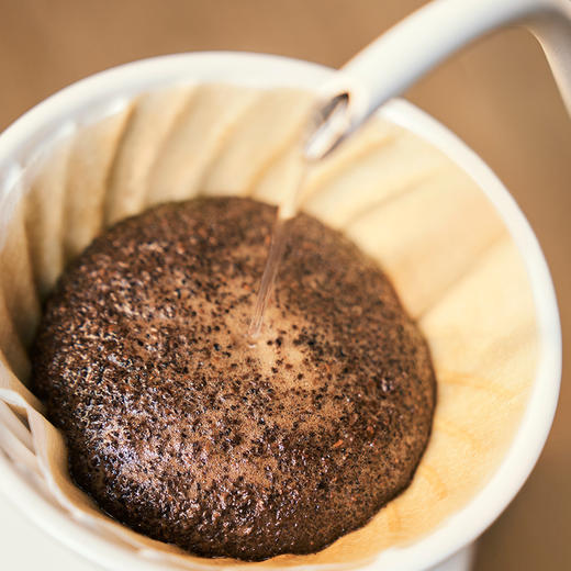 咖啡豆｜红布林100克 商品图3