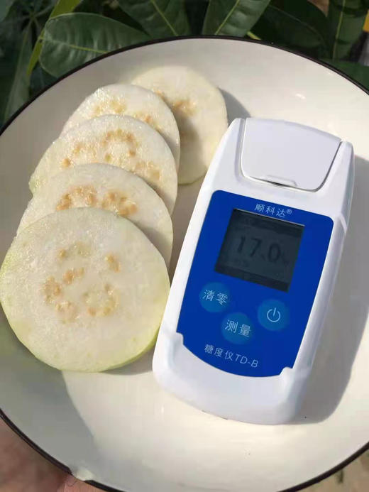 黄金奶油芭乐/草莓芭乐 商品图3