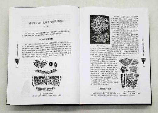 《湖南出土殷商西周青铜器》，软精装，16开，湖南省博物馆编，岳麓书社2007年版，780多页，售价158元，品相9成。 商品图7