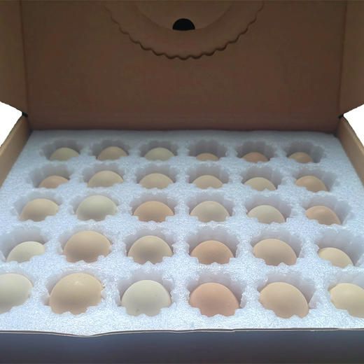 【全国包邮】散养鸡蛋（30个/盒）偏远地区除外~ 商品图2
