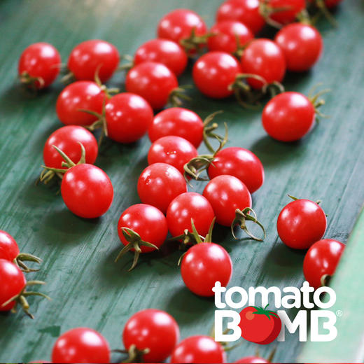 阳光沙地千禧小番茄  广东电白产 顺丰快递 商品图11