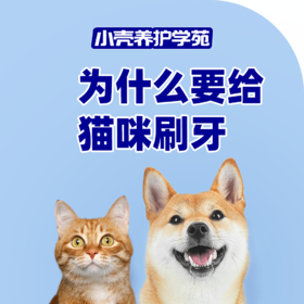 为什么咬给猫咪刷牙