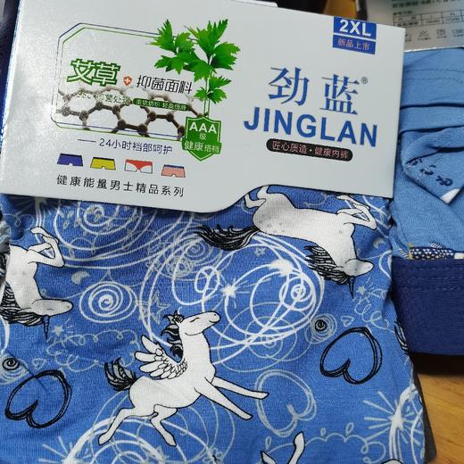劲蓝3D艾草仰菌男士内裤 商品图0
