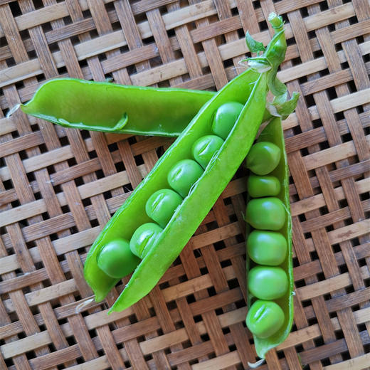 云南有机甜豌豆 | 清香甜脆  | 3天内发货 | 基地直发包邮 *Ecological pea 商品图1