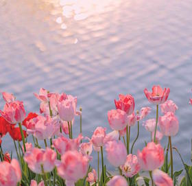 不想凡事都赢的，是聪明人