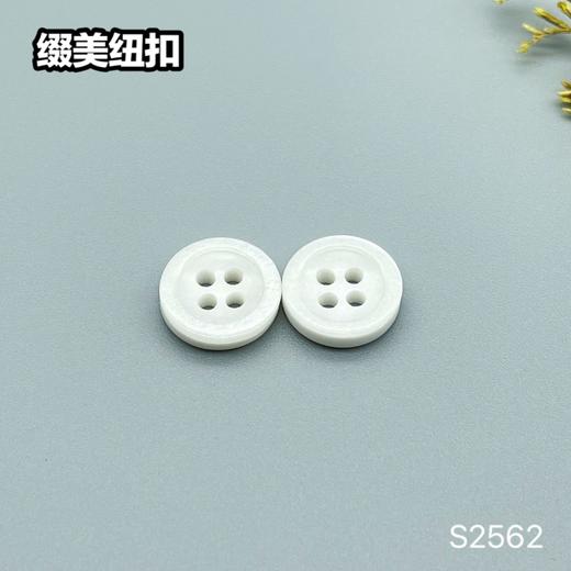 S2562(整包购买) 商品图2