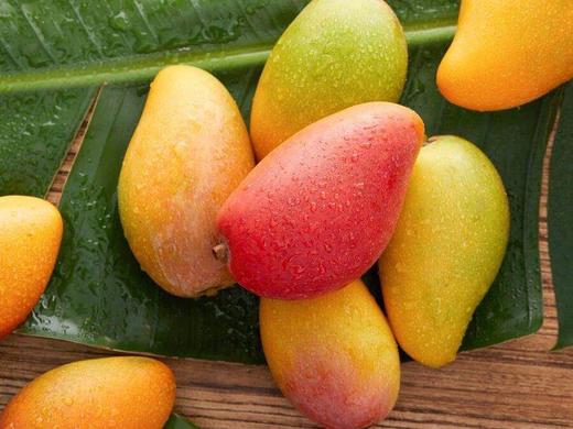 百里家的芒果 海南芒果 自然长 不捂不催不用药 核小肉厚 纯甜多汁 一个枝一个果 |百里食 商品图7