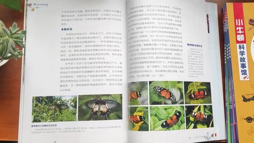 《小牛顿科学故事馆 》第二辑，让孩子爱上数学、宇宙等六大学科，400个知识点打基础！ 商品图7