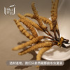 【昀蓉虫草】【3600头&3000头虫草50g】 来自海拔5000以上的西藏那曲 无断草 无接驳 虫体饱满 香味浓郁 商品缩略图2
