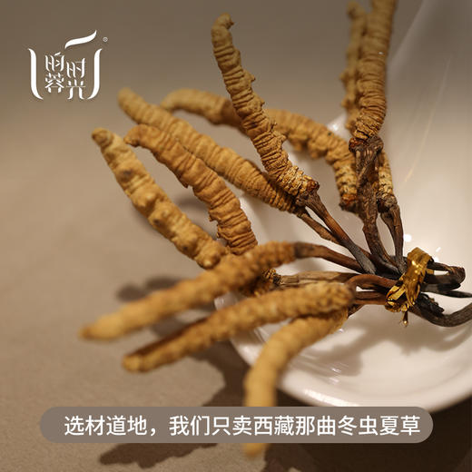 【昀蓉虫草】【3600头&3000头虫草50g】 来自海拔5000以上的西藏那曲 无断草 无接驳 虫体饱满 香味浓郁 商品图2