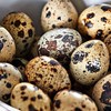 786回味 鹌鹑蛋（有壳）80克/袋 （5袋丨10袋装） 商品缩略图2