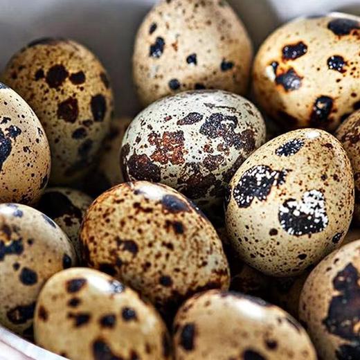 786回味 鹌鹑蛋（有壳）80克/袋 （5袋丨10袋装） 商品图2