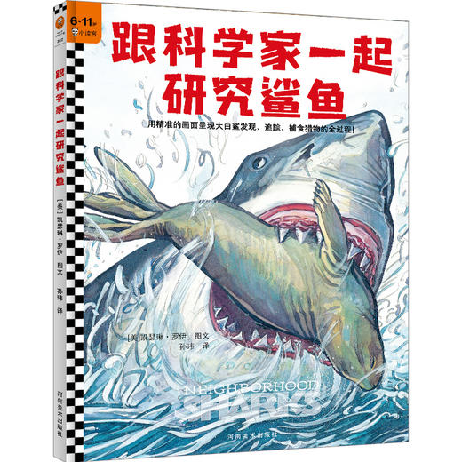 跟科学家一起研究大象+跟科学家一起研究鲨鱼（全2册）6岁+ 跟科学家一起研究动物 商品图2