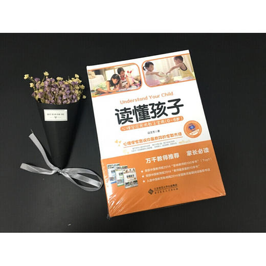 读懂孩子 心理学家实用教子宝典(0-6岁) 有效的家教方法教子策略 少儿成长教育指导书籍 商品图4