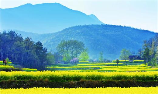 【湖北】·武汉东湖樱花、江滩落日、宜昌三峡人家、荆门油菜花、恩施大峡谷、地心谷8日摄影采风 商品图7