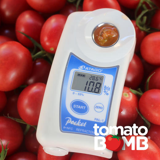 阳光沙地千禧小番茄  广东电白产 顺丰快递 商品图12