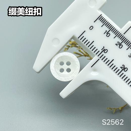 S2562(整包购买) 商品图5