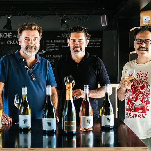 南法新星 卡莫乔森白庄美乐干红葡萄酒 2019 Calmel & Joseph  Villa Blanche Merlot 商品图1