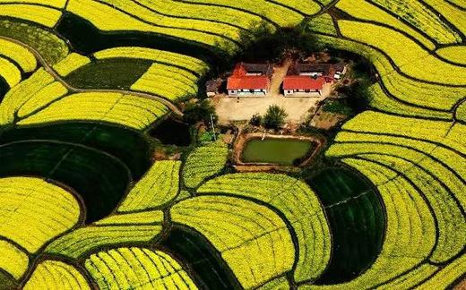 【湖北】·武汉东湖樱花、江滩落日、宜昌三峡人家、荆门油菜花、恩施大峡谷、地心谷8日摄影采风 商品图5