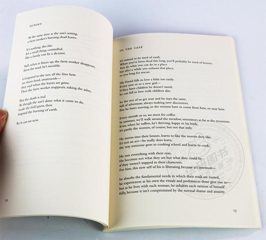 乡村生活 诗歌集 英文原版 A Village Life Poems 诺贝尔奖得主 Louise Gluck 英文版进口原版英语书籍 商品图2