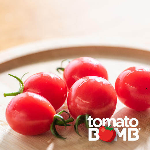 阳光沙地千禧小番茄  广东电白产 顺丰快递 商品图4