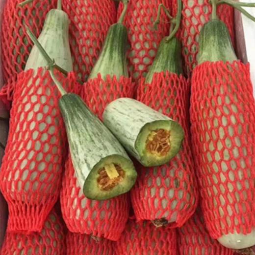 【山东羊角蜜甜瓜】脆甜多汁，咬着脆，吃着甜，连皮带籽一起吃，绵中带脆，咬上一口满嘴留香 商品图3