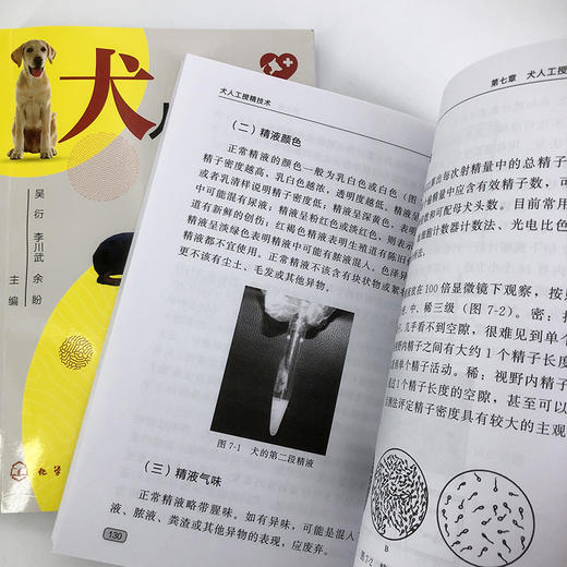 犬人工受精技术 商品图9