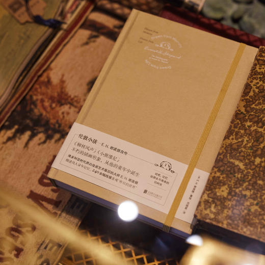 伦敦小孩：E.H.谢泼德自传 商品图3