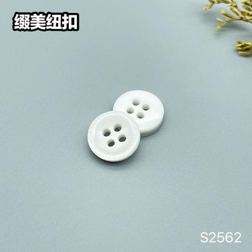 S2562(整包购买) 商品图3