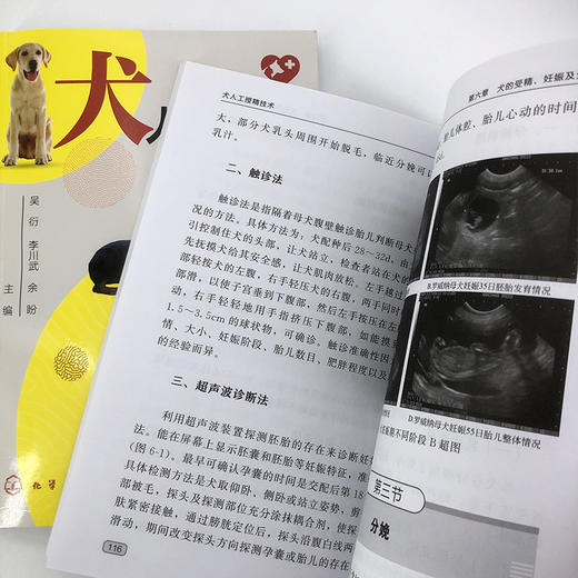 犬人工受精技术 商品图8
