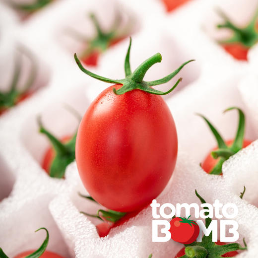 阳光沙地千禧小番茄  广东电白产 顺丰快递 商品图5